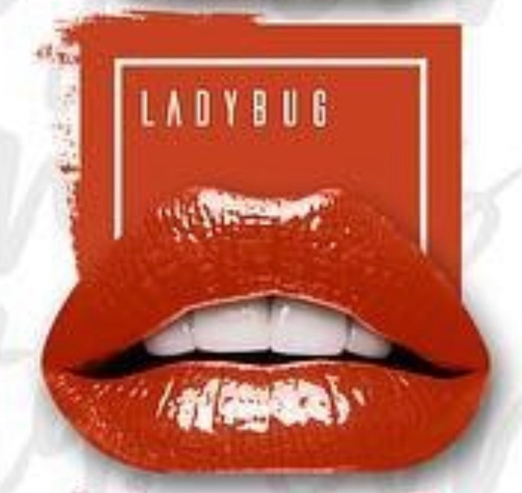 Lady Bug